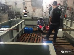 佛山三級環保加公安部門聯合執法查處南海2家污企，七人被帶走調查